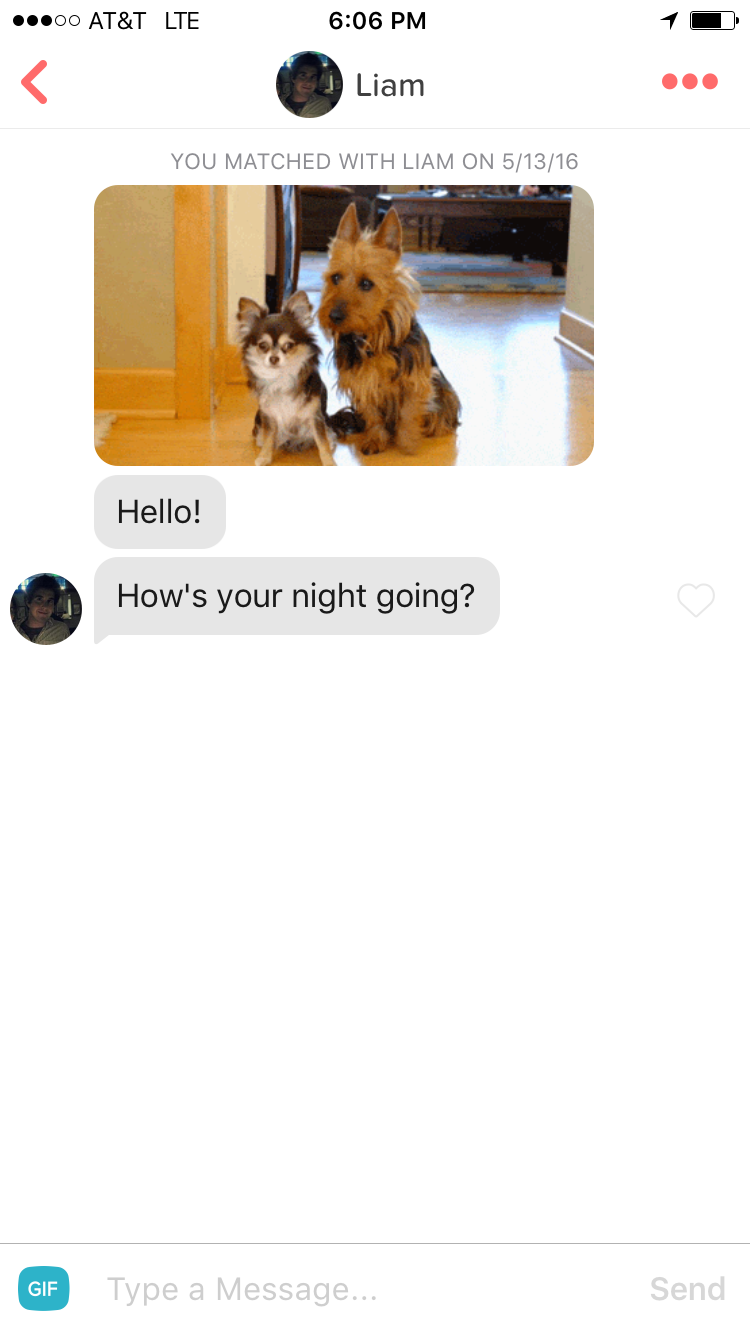 Opener tinder dog The Only