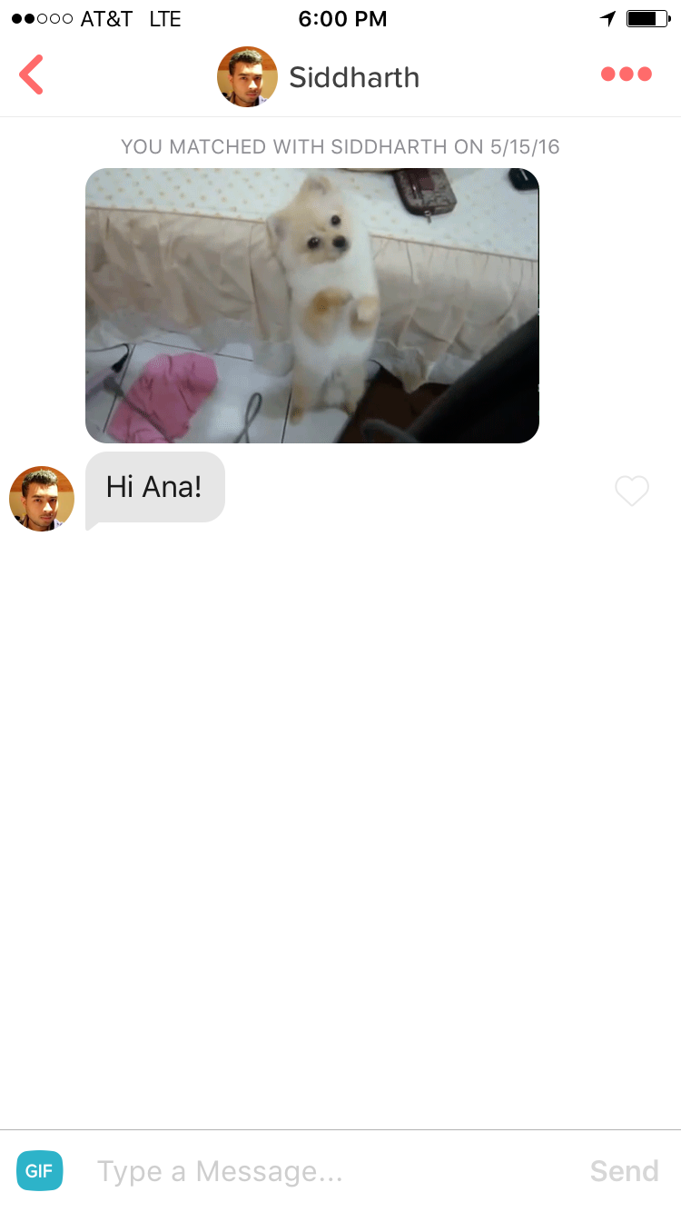 Dog opener tinder 4 Tinder